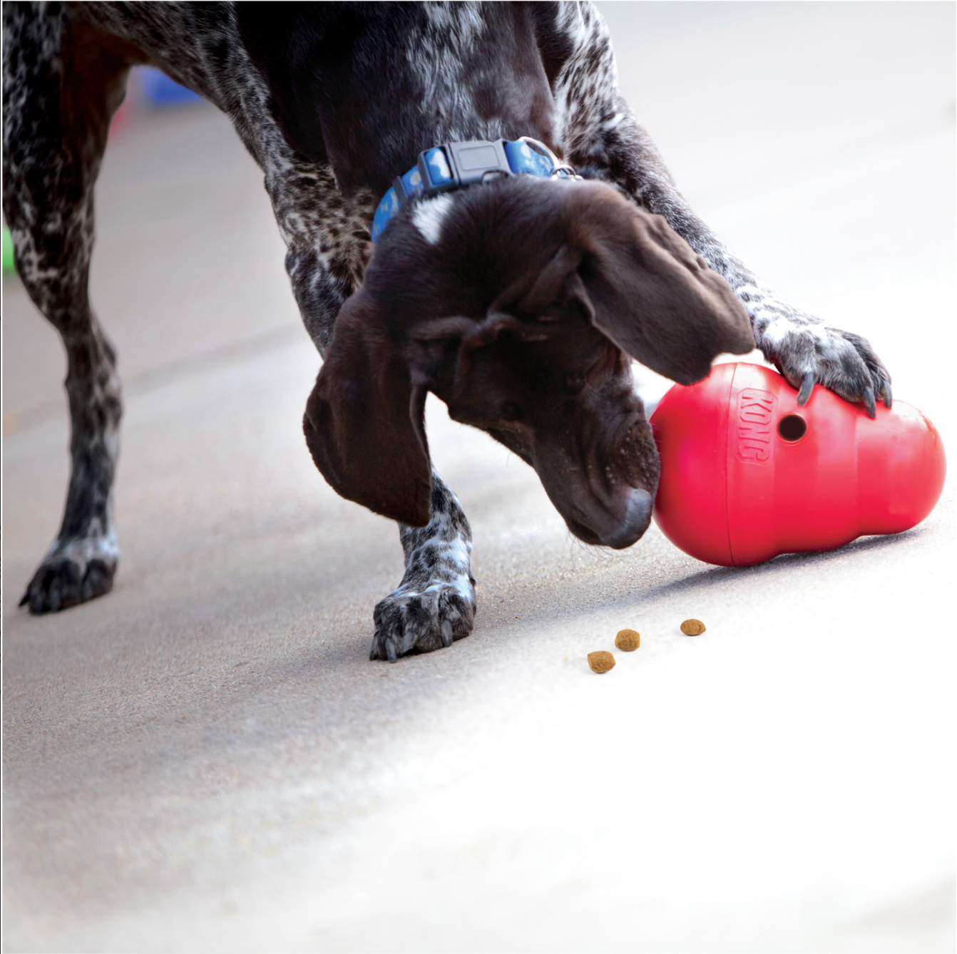 KONG Wobbler large