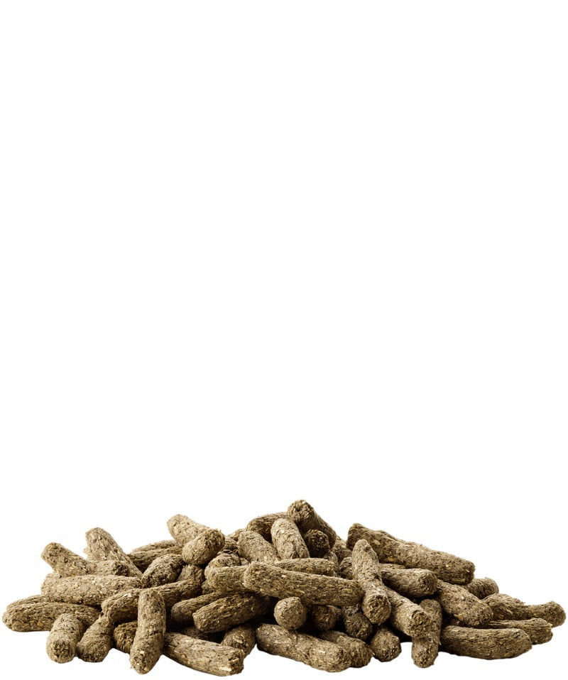 Complete Cuni Sensitive 500g