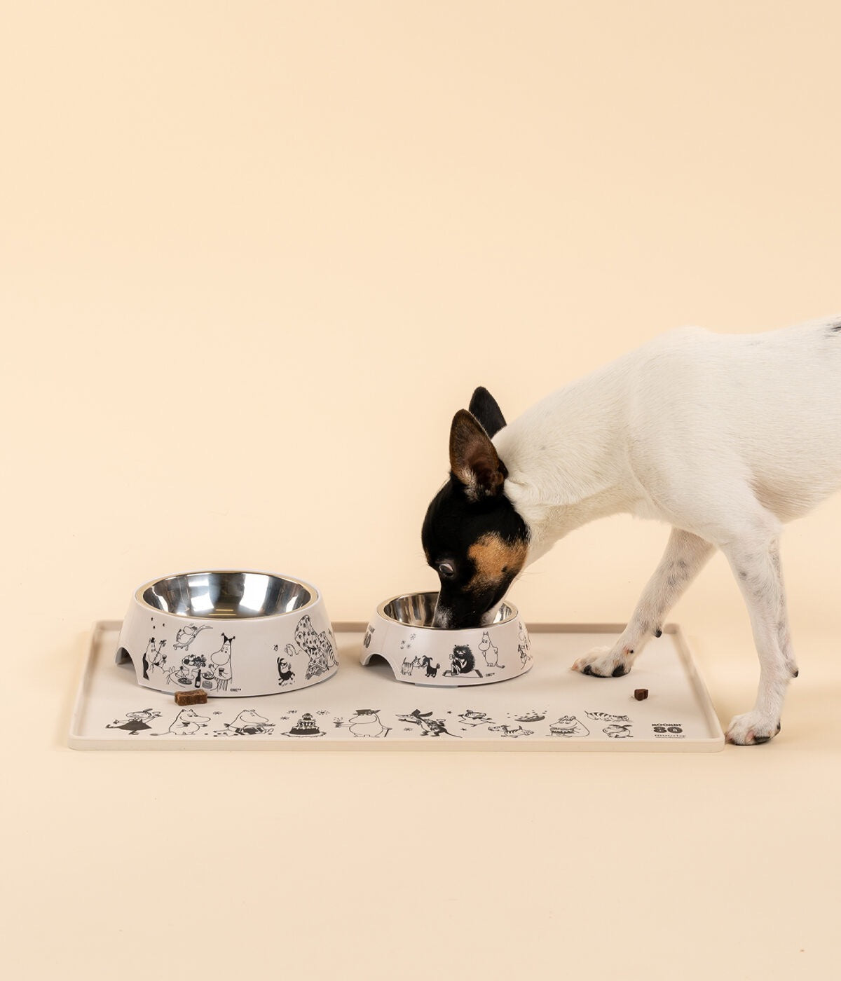 MOOMIN pet silicone mottur frá Muurla 48X30