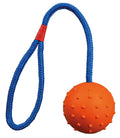 Gúmmibolti í bandi  6 cm/30 cm