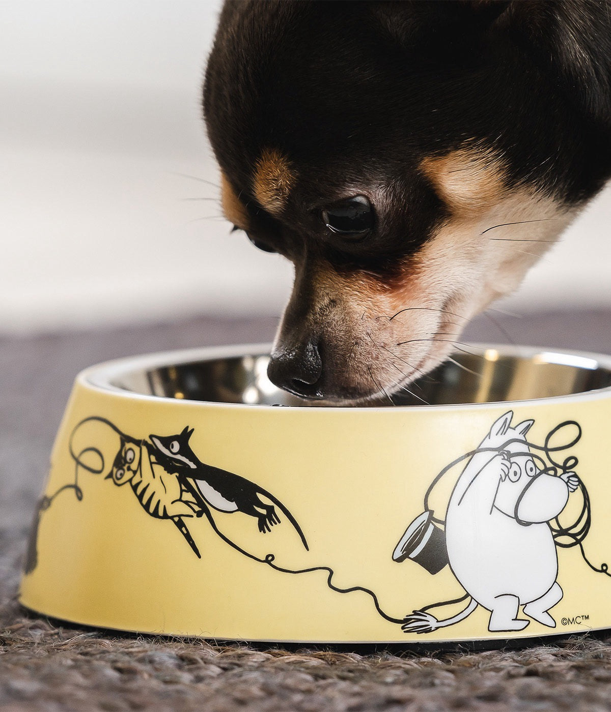 MOOMIN pet skál str M