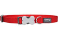 Dog Collar ól  S - Rauð